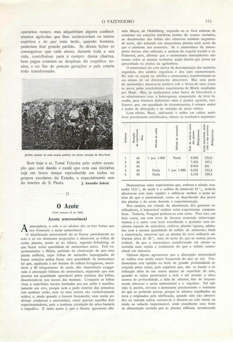 O Fazendeiro nº 5