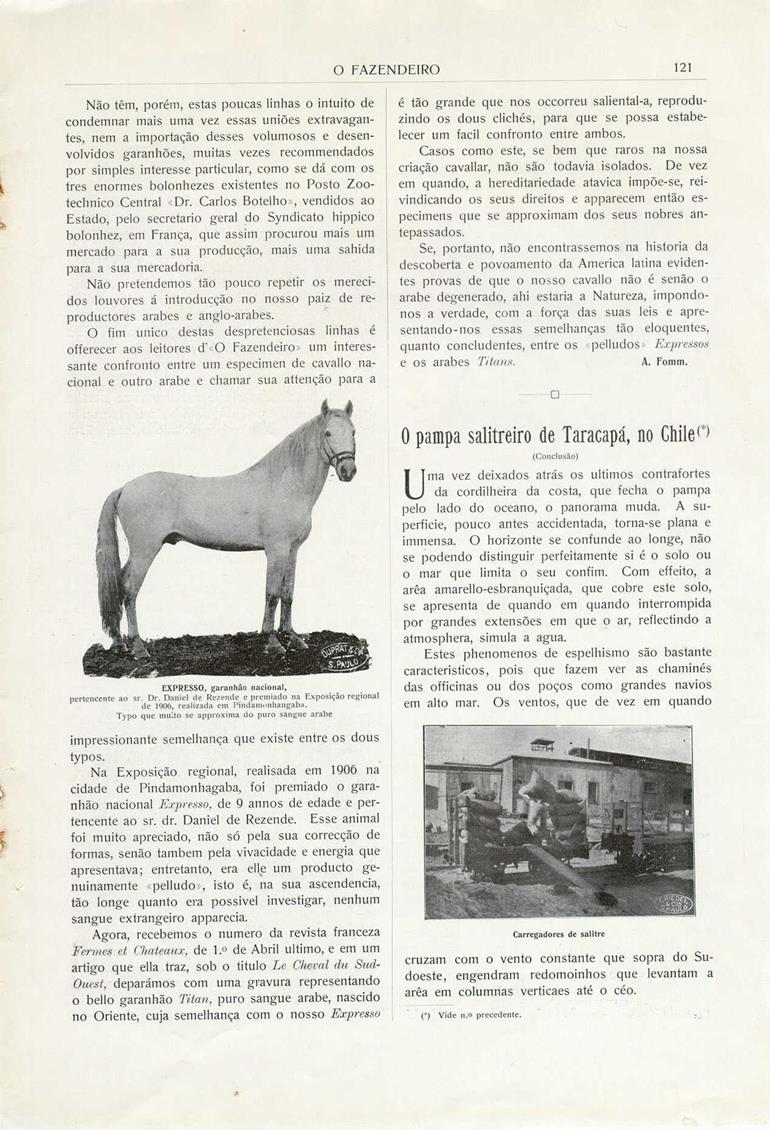 O Fazendeiro nº 5