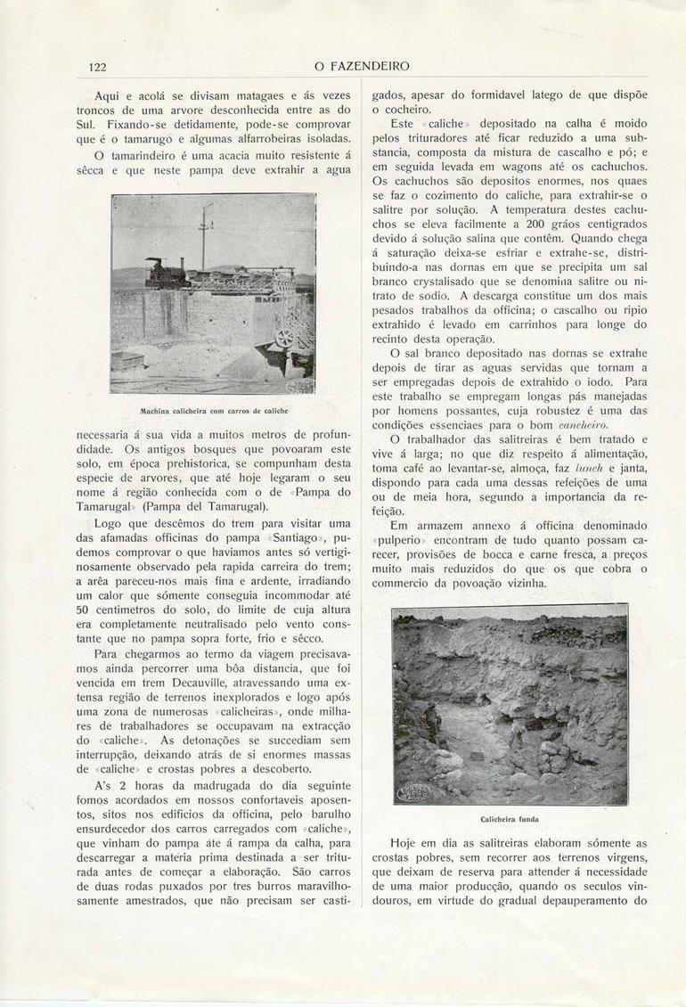 O Fazendeiro nº 5